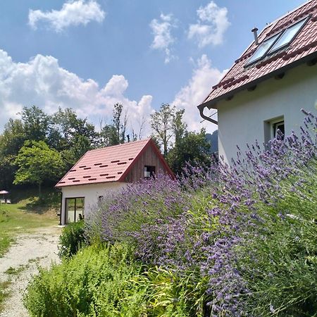 קובאריד Holiday Home Dreams מראה חיצוני תמונה