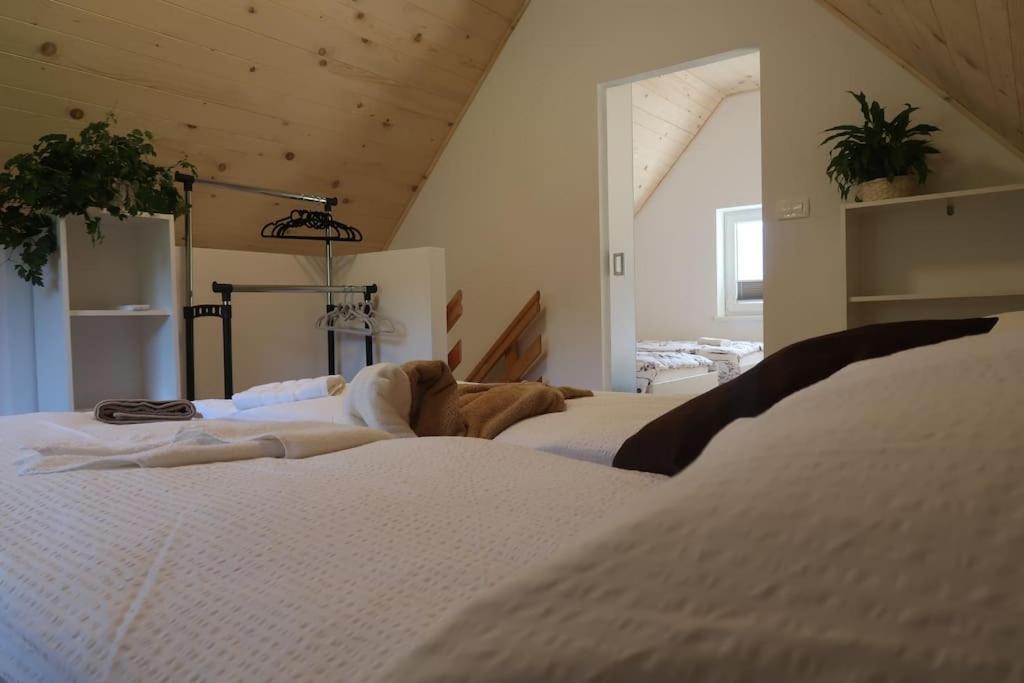 קובאריד Holiday Home Dreams מראה חיצוני תמונה