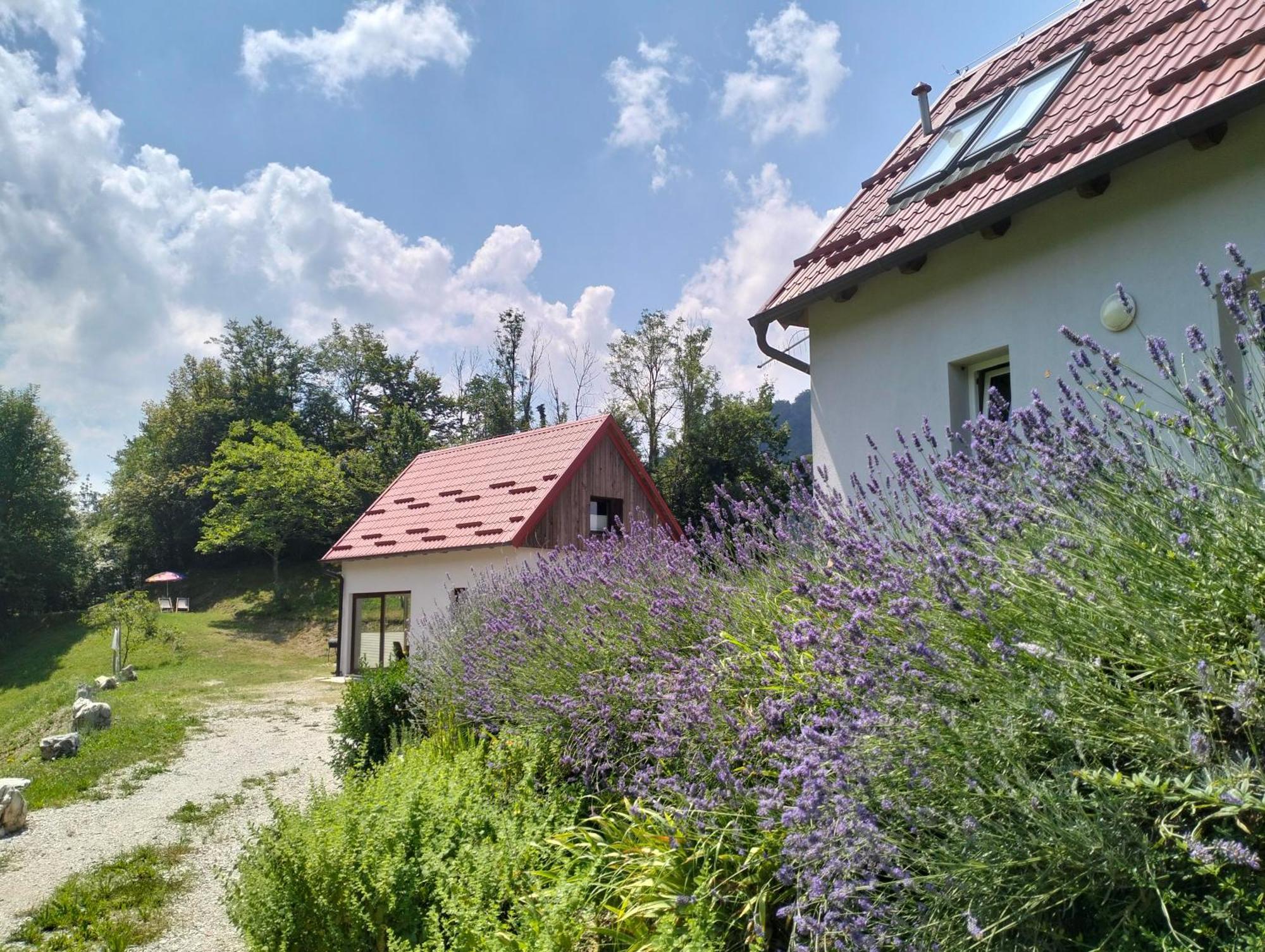 קובאריד Holiday Home Dreams מראה חיצוני תמונה